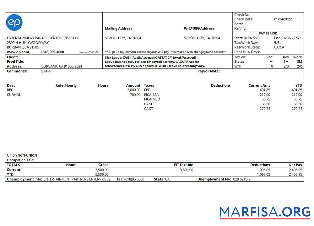 Realistic USA Entertainment Partners Enterprises financial company pay stub real example